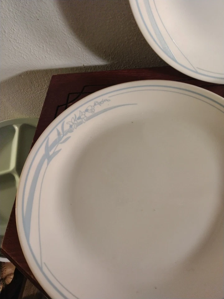 De colección. Juego de platos de cena Corelle Corning BLUE IRIS 10 pulgadas/3 púrpura y verde BONITO Foto 3 de 4