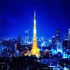 Cityscape 10'x10' Computer-painted Scenic Photo Background Backdrop BHF057