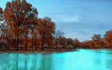 Landscape park fall trees red leaves nature water Custom Gaming Mat Desk