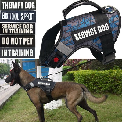 therapy dog vest
