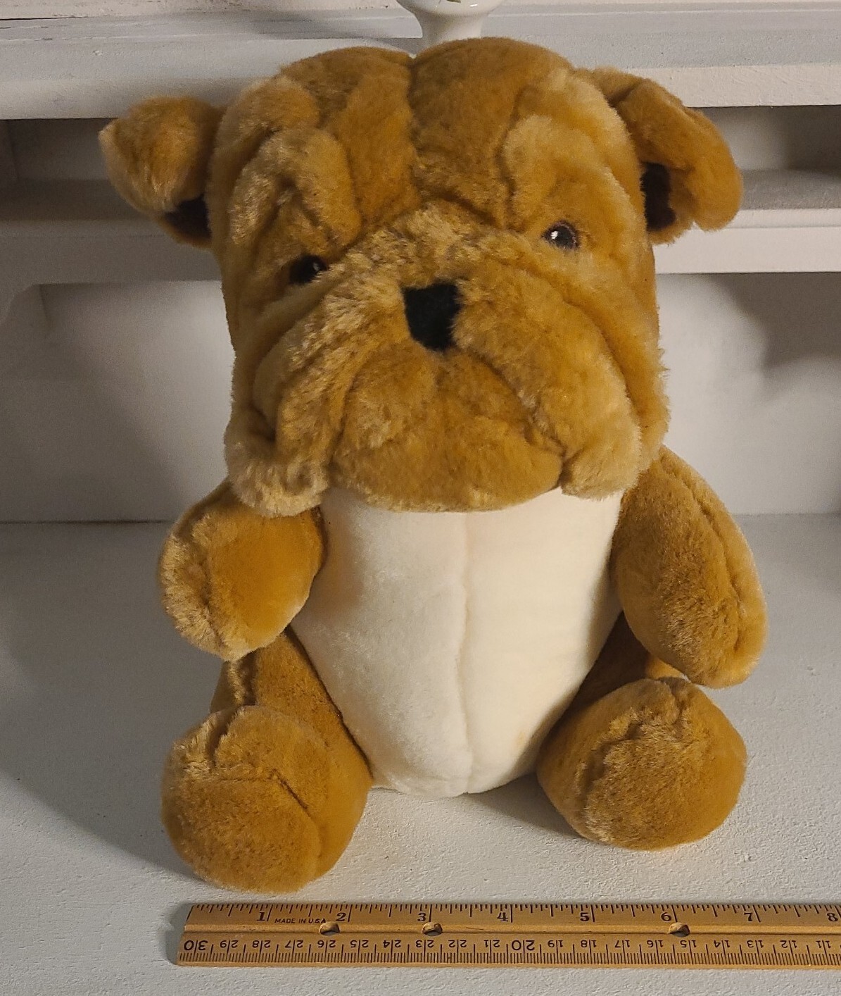teddy brown bulldog