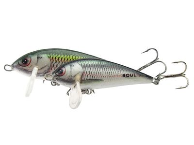 Hunter Soul 6cm 8g Sinking Wobbler für Döbel Hecht Rapfen FARBEN