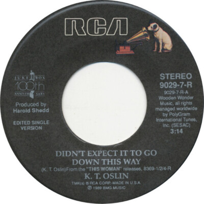 K.T. Oslin - Didn't Expect It To Go Down This Way (7'', Single)