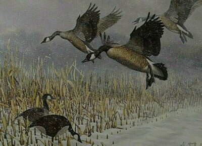 TOM HIRATA 1992 MIGRATORY WATERFOWL WEST VIRGINIA GEESE STAMP PRINT L.E SIGN