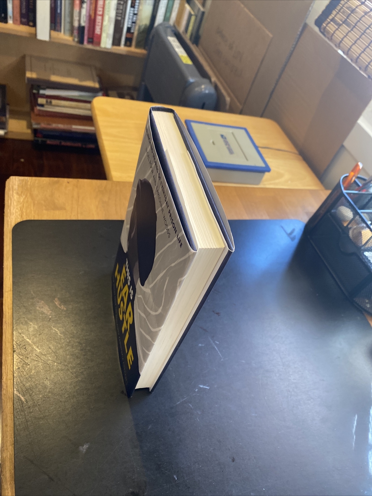 THIS IS EAR HUSTLE STORIES PRISON LIFE Nigel Poor & Earlonne Woods