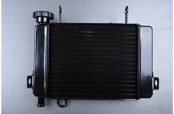 Évitez la surchauffe avec ce radiateur pour Honda CBR 125 2004-2006
