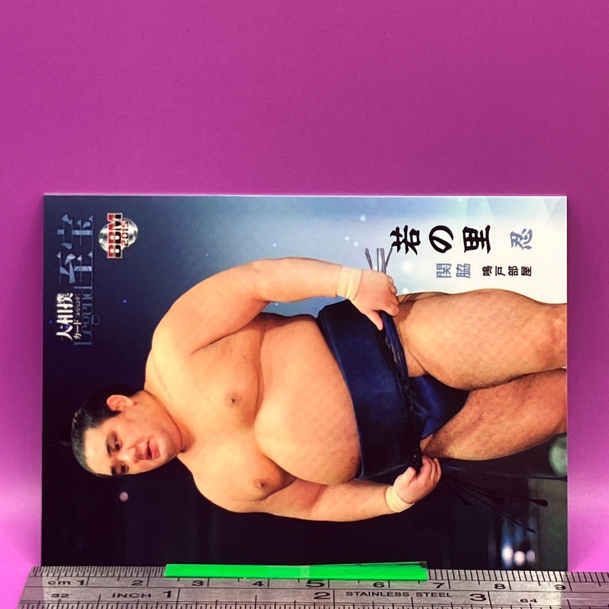 WAKANOSATO Shinobu Sumo Wrestler Trading Card BBM 2015 Rikishi TCG