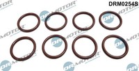 Dr.Motor Automotive DRM0254S Dichtring, Einspritzventil For Opel