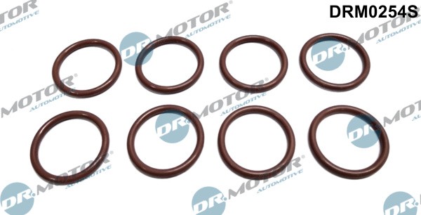 Dr.Motor Automotive DRM0254S Dichtring, Einspritzventil For Opel-image