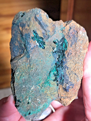 Atacamite crystals on Malachite, Inca de Oro mine, Atacama, Chile, ex Rosenthal