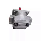 New For GPYZ4R324B gear pump fedex or DHL
