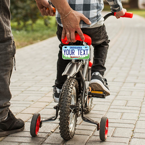 Custom state License Plates with personalized text Car 12x6- Moto 7x4 - Bike 6x3 - Picture 174 of 570
