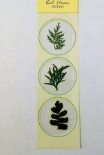 Real Flowers Scrapbook Stickers Greenery 4