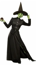 Classic Witch Adult Women's Costume Wicked Black Wizard of Oz Size Medium 8-10 