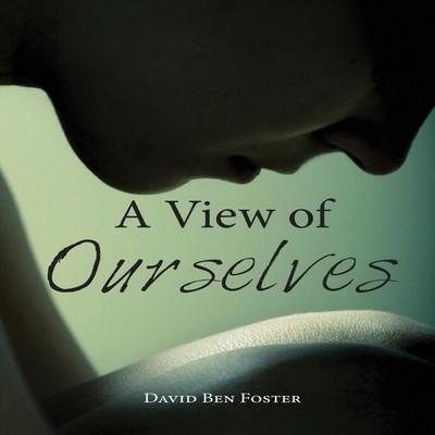 A View of Ourselves David B Foster Hardcover Blossom Book Publish