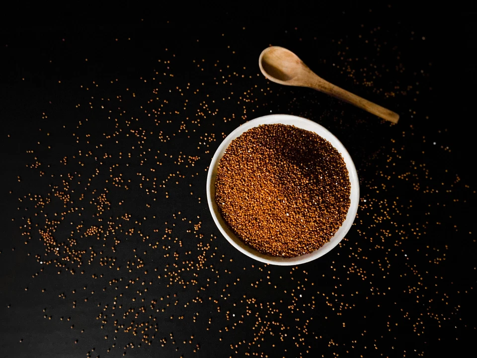 Combo of Black Organic Quinoa and Red Organic quinoa. (18 lbs, 2-9 lb bags each) - Image 4 of 4