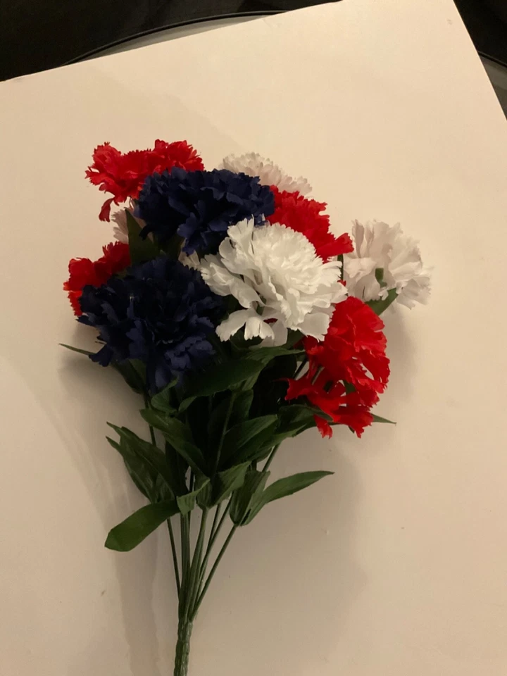 Clavel rojo blanco y azul 16 pulgadas arbusto patriótico Foto 3 de 4