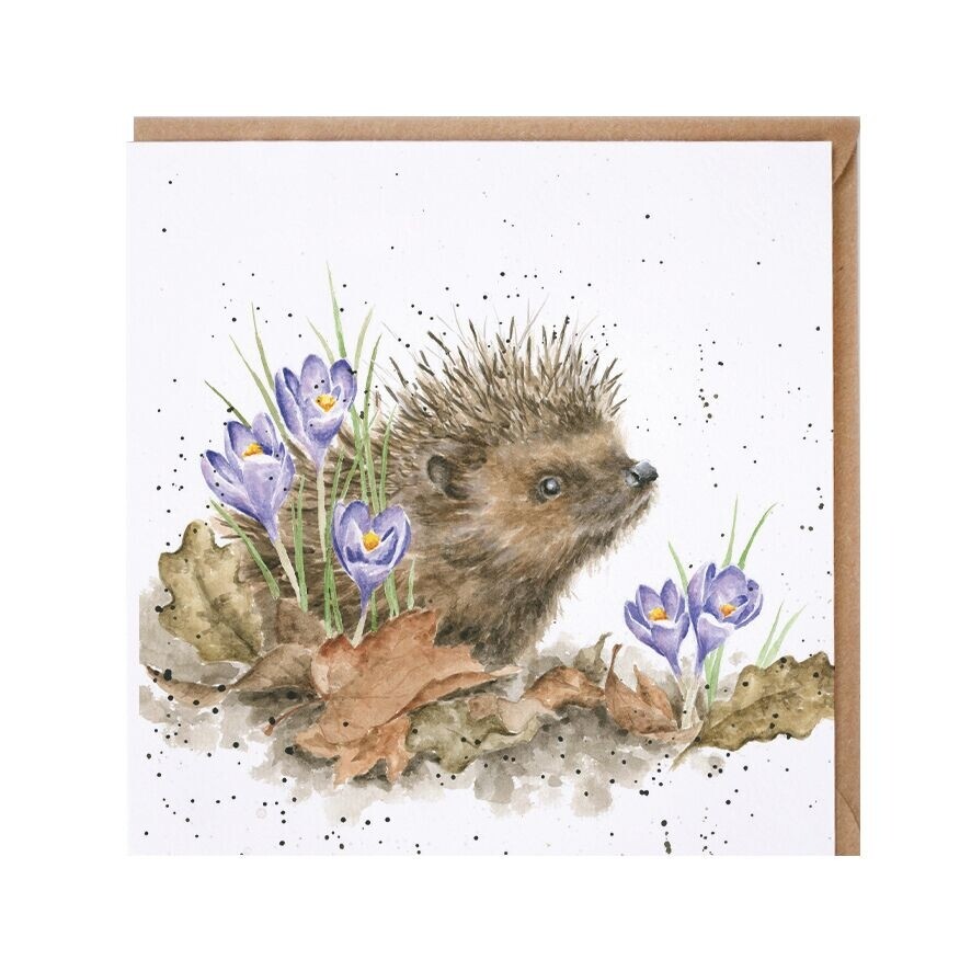 Hedgehog Greeting Card - Wrendale Designs Country Set New Beginnings