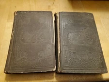 Arctic Explorations, 2nd Grinnell expedition, 1st ed, 1856, Elisha Kent Kane