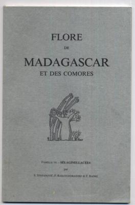 Flora von Madagaskar und Komoren Familie 14 Selaginellacees von Murten 1997