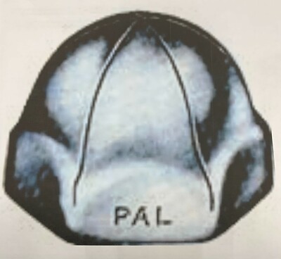 Palnut Tinnerman AC1032 10-32 Acorn Type Lock Speed Nuts Closed Top (25 pieces)