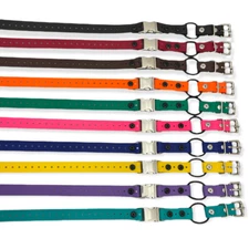 E-Collar 3/4" Quick Snap Mini Bungee Replacement Strap - 10 Colors