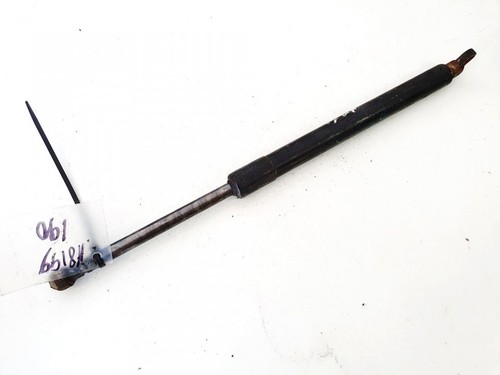 51248222913 Gasdruckfeder Motorhaube  BMW 5-Series DE1691499-21