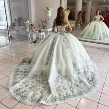 Light Green Quinceanera Dresses Ball Gown Lace Applique Sweet 16 Prom Dress