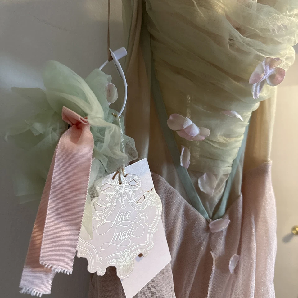 Vestido Corsé Victoriano Rubus Rosa Lacado Cottagecore, Talla S Foto 2 de 4