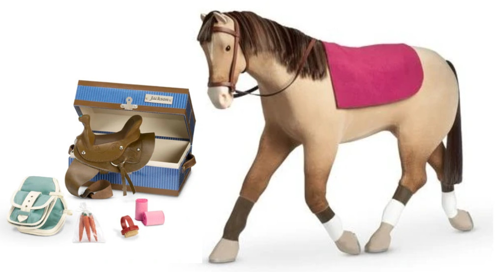 Second hand Horse Tack Box in Ireland View 67 bargains