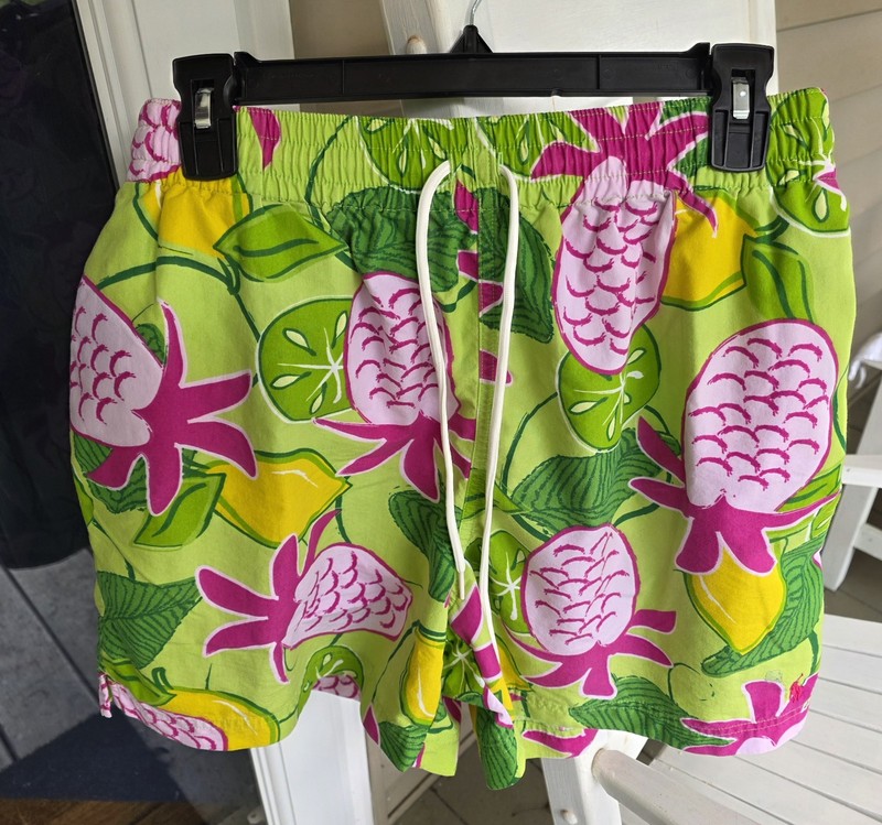 Vintage Y2K Polo Ralph Laure L Pineapple Tropical Swim Trunk Shorts Surf Preppy