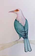 Rare Bird Art  Unique Original Watercolour Painting by Dominic Murphy 