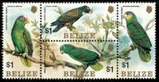Belize 1984 - Parrots Birds - Block of 4 Stamps - Scott #739 - MNH