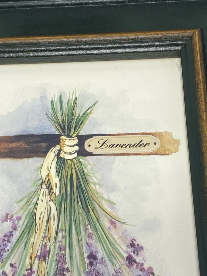 🌿 Peggy Abrams Herb Prints Set of 3 Framed Art – Sage Basil Lavender Farmhouse - Image 4 of 4