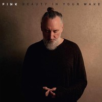 Fink - Beauty In Your Wake - Vinyl Record 12 Inch Record - G3Z