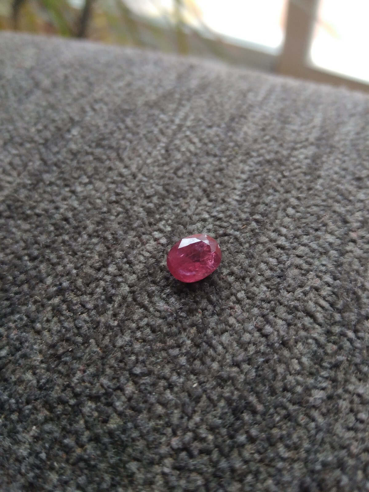 Picture 5 of 12