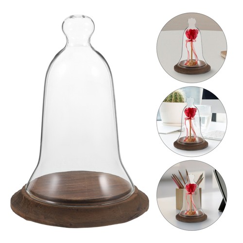 Displayabdeckung Aus Glas Getrocknete Blumenglasabdeckung Kuppeln