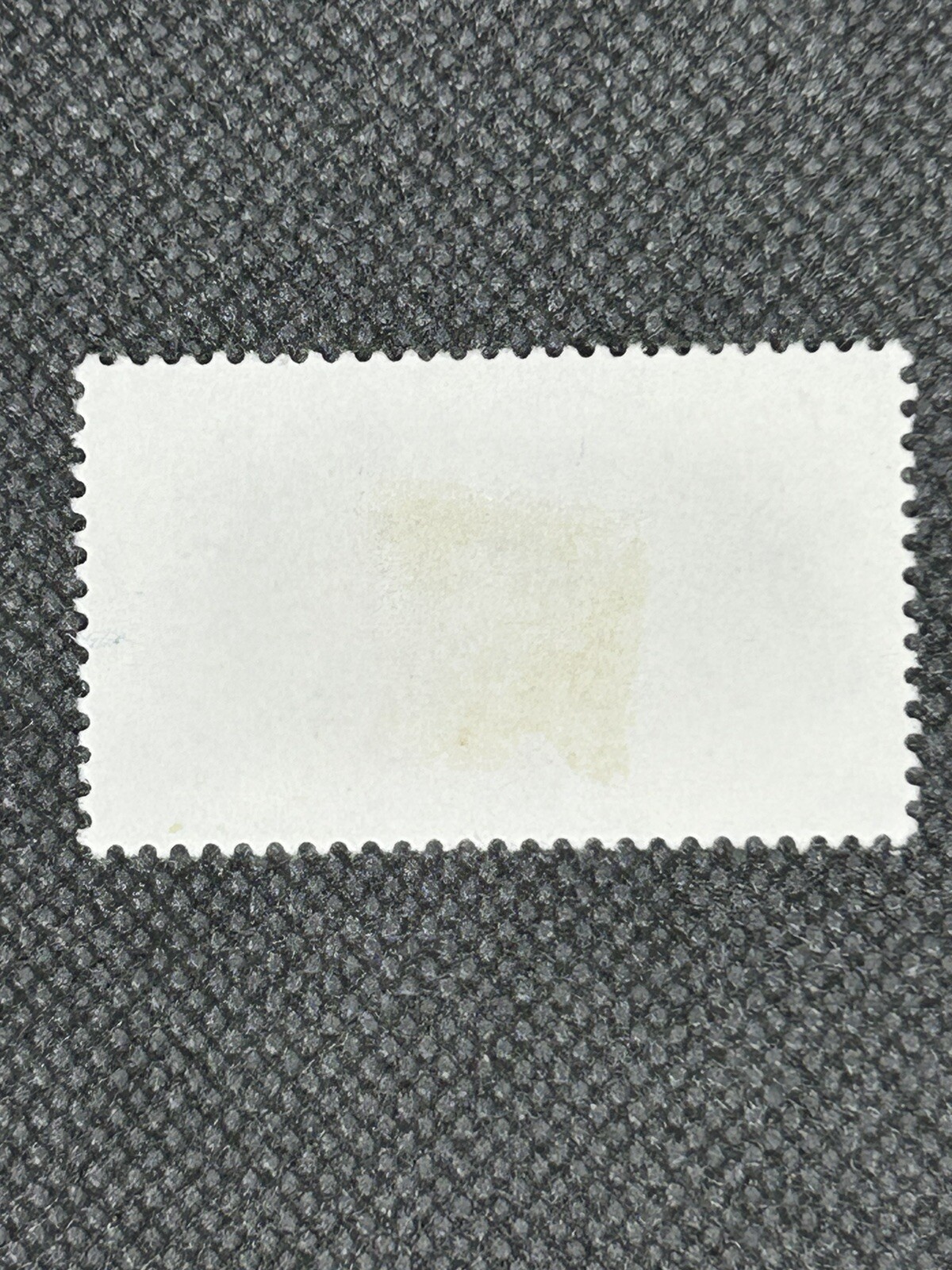 Picture 4 of 12