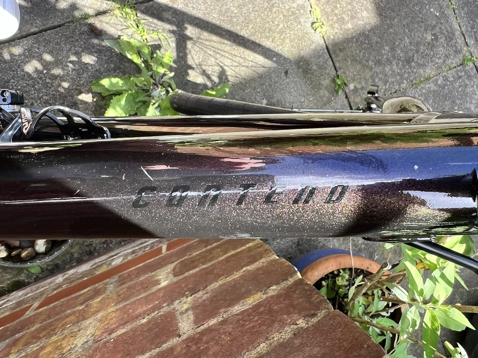 57” Giant Contend 1 Road Bike in Rosewood, photo 3 of 5