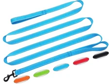 10 FT Traffic Leash with 2 Handle Dog Leash Reflective Easy Control Training ...