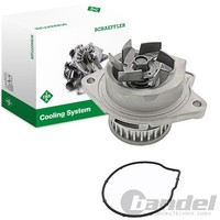 INA Wasserpumpe Passend FüR Audi A2 Seat Altea Arosa Cordoba Ibiza Inca Leon