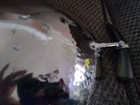 Bild 7 von 7