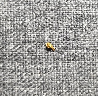 Gold Nugget Western Australian 0.10g