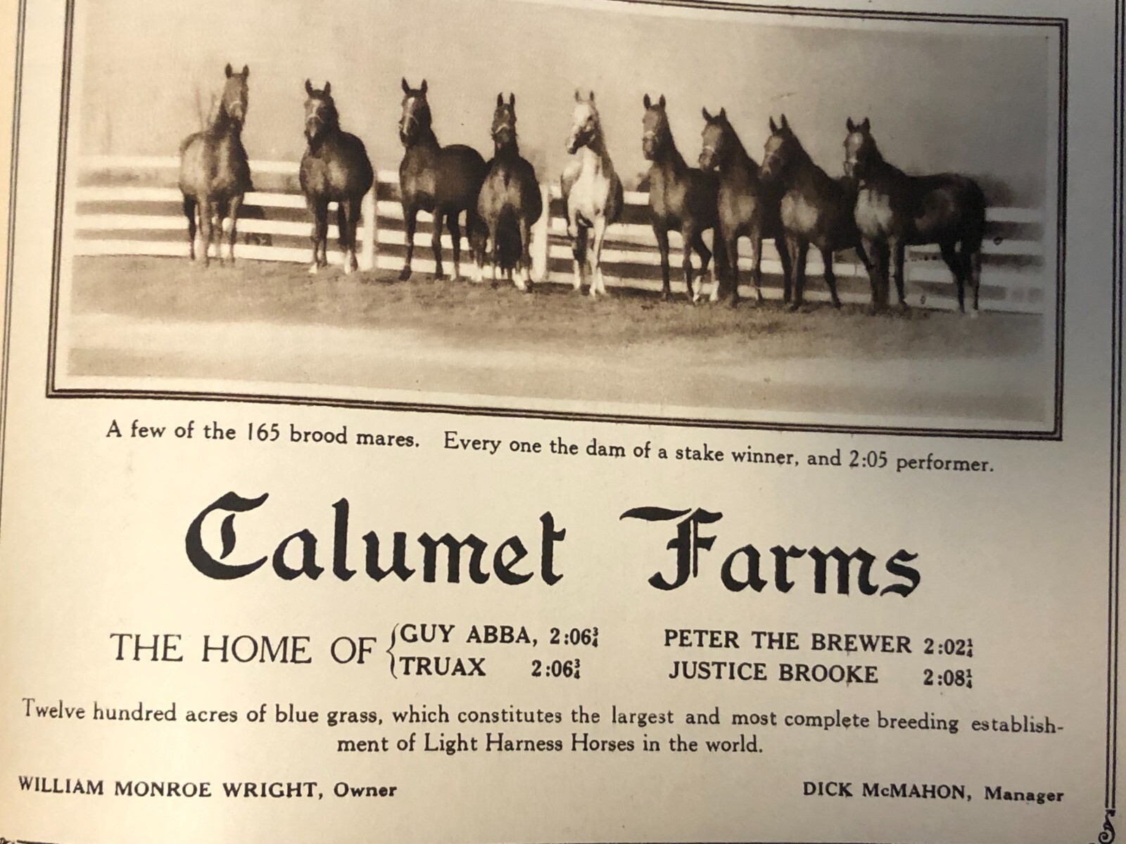 May 1930 Kentucky Progress Magazine Derby Horse Farms Calumet Danville