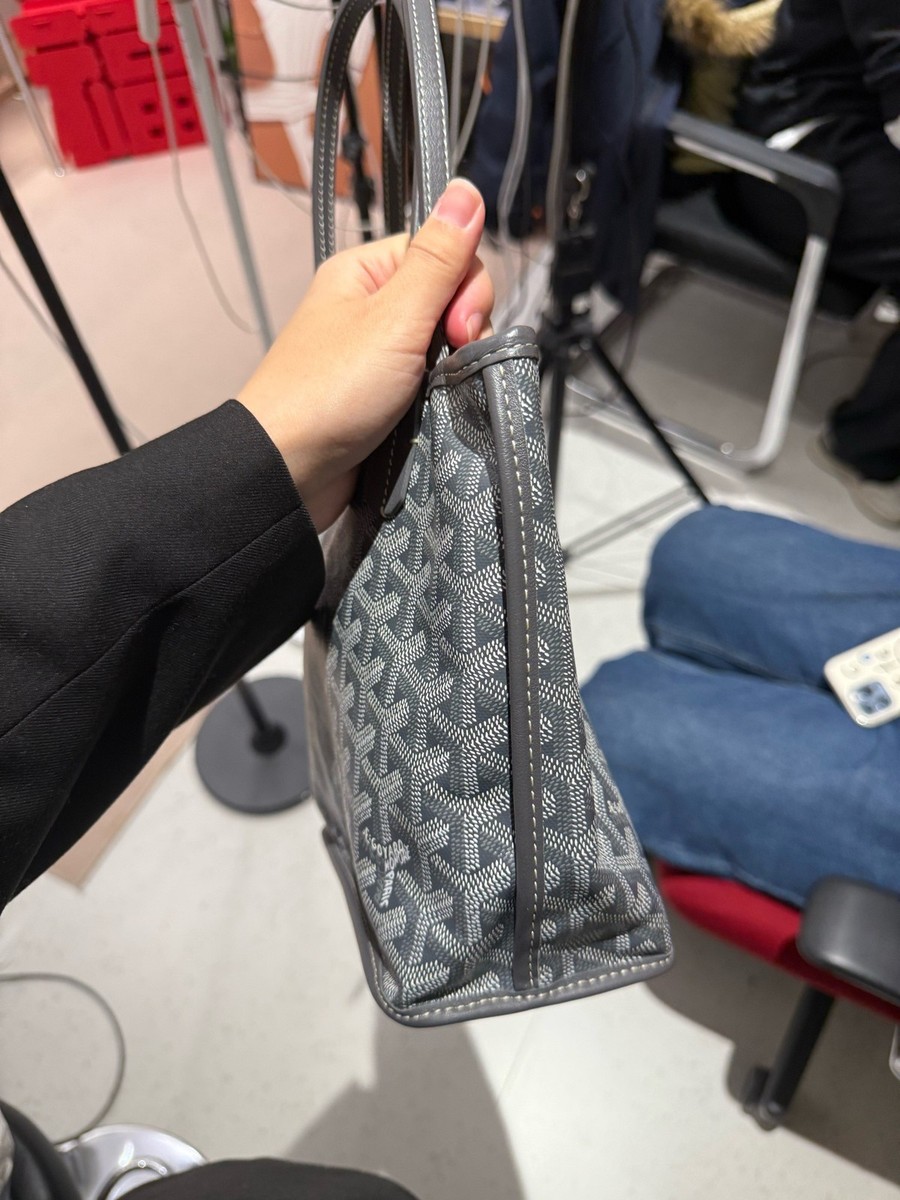 Goyard Anjou Mini Tote Bag Goyardine Canvas Shoulder Underarm Bag