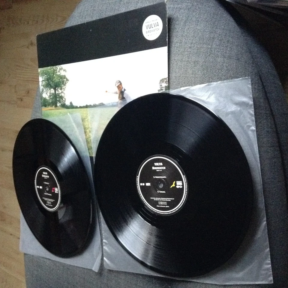 Vulva - Birdwatch 2xLP (Electronic/Ambient/Techno/IDM) 1996 REPHLEX RECORDS - Image 4 of 4