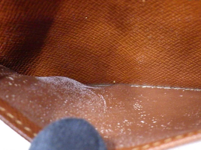 LOUIS VUITTON Agenda PM - # image 5