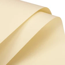 Pearlescent Film Flower Wrapping Paper 22.8x22.8 Inch Cream Color Pack of 10
