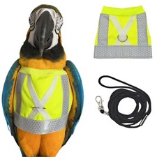 Pet Parrot Bird Harness and Leash, Adjustable Training Design Anti-Bite, Bird
