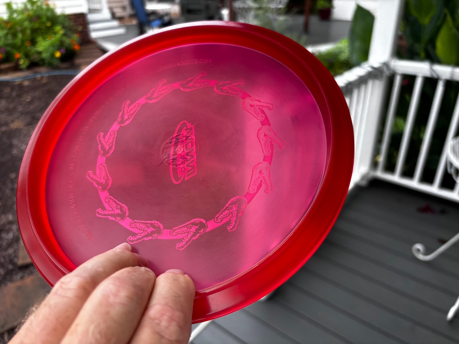 Disc Golf Innova Champion Gator (Ring of Gators) Penned PFN (Free Returns) #3968 - Thumbnail 6